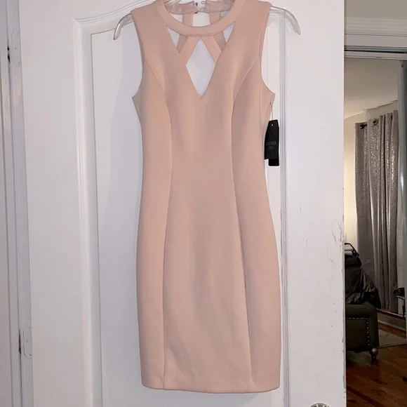 NTW light pink Guess dress